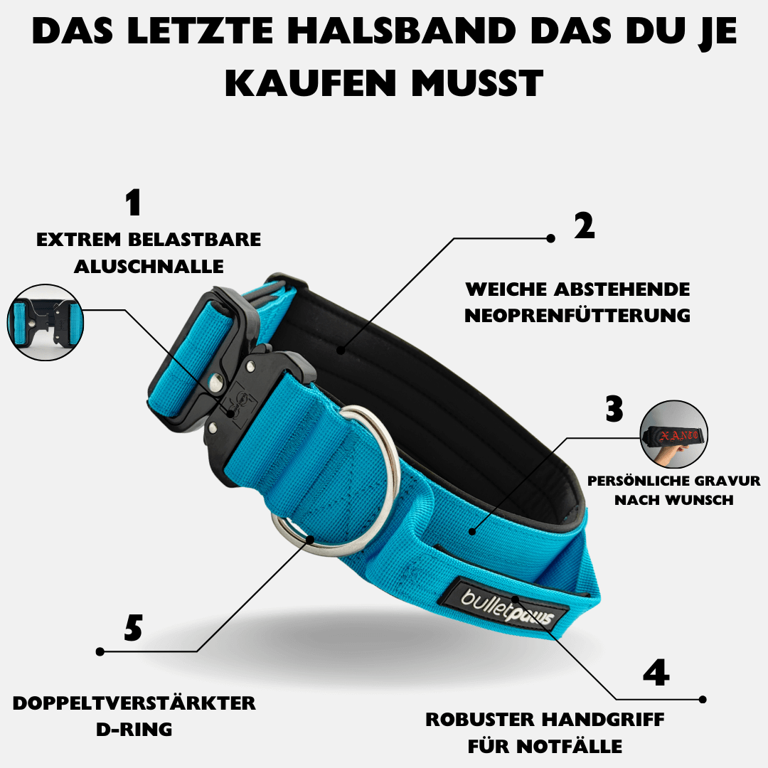 5cm Alpha Hundehalsband mit Griff - Babyblau - BulletPaws