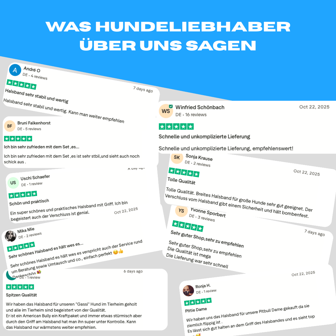 Alpha Control Zugstopp Hundehalsband - BulletPaws