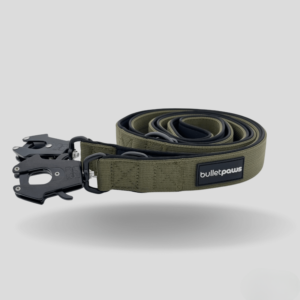Dreifach verstellbare Hundeleine 2,2m - Khaki - BulletPaws