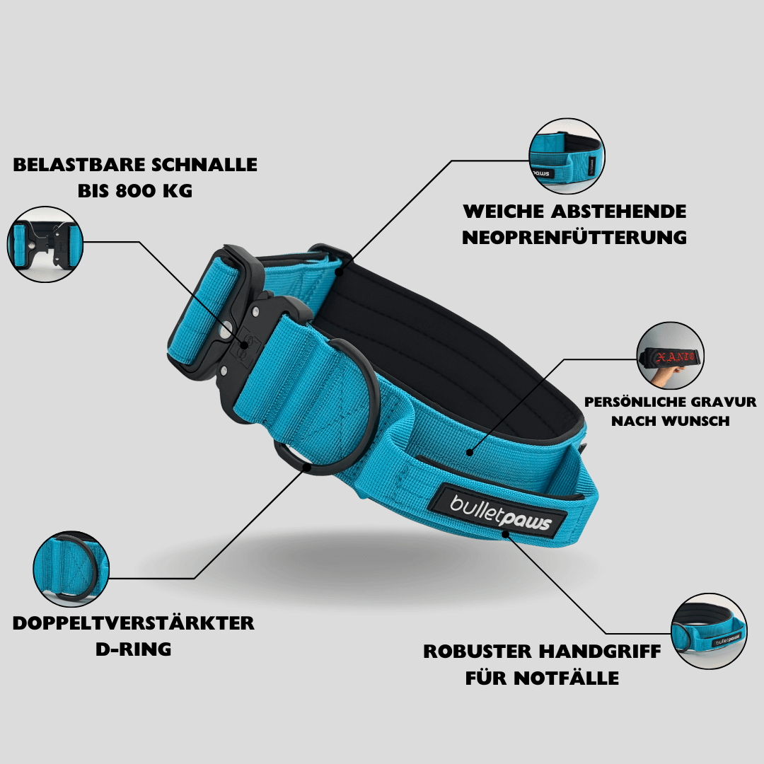 Alpha Hundehalsband® mit Griff - Babyblau - BulletPaws
