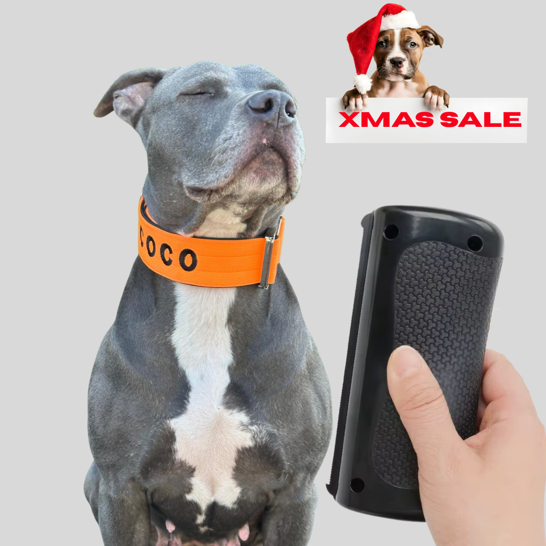 Alpha Unterfellbürste für Hunde - BulletPaws