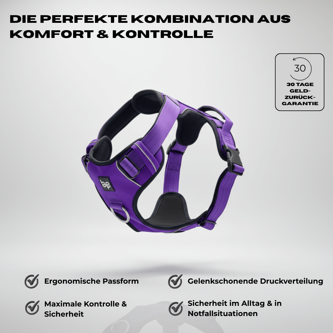 Alpha Control Hundegeschirr mit Griff - BulletPaws