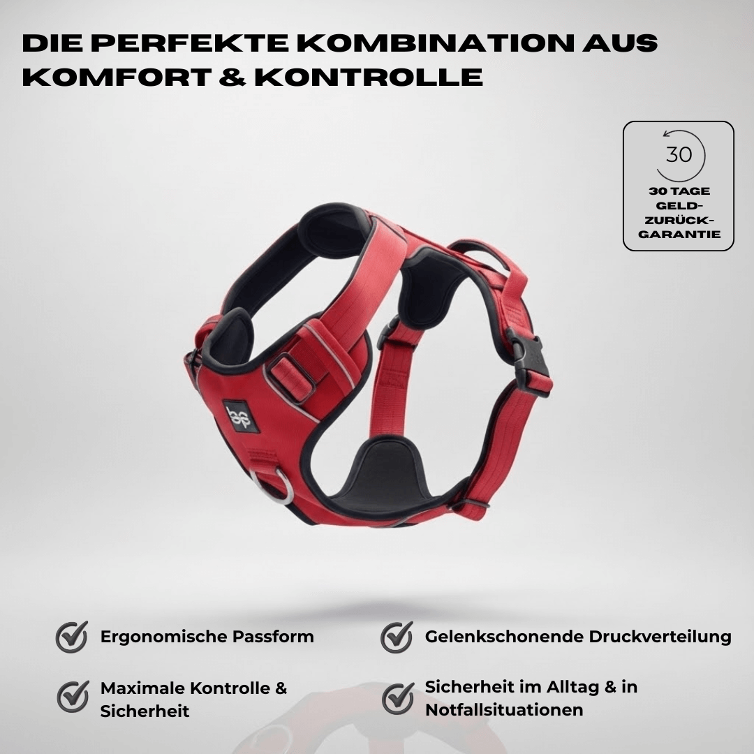 Alpha Control Hundegeschirr mit Griff - BulletPaws