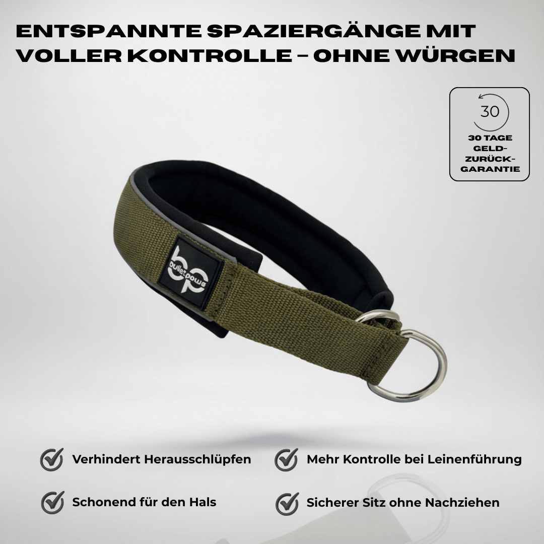 Alpha Control Zugstopp Hundehalsband - BulletPaws