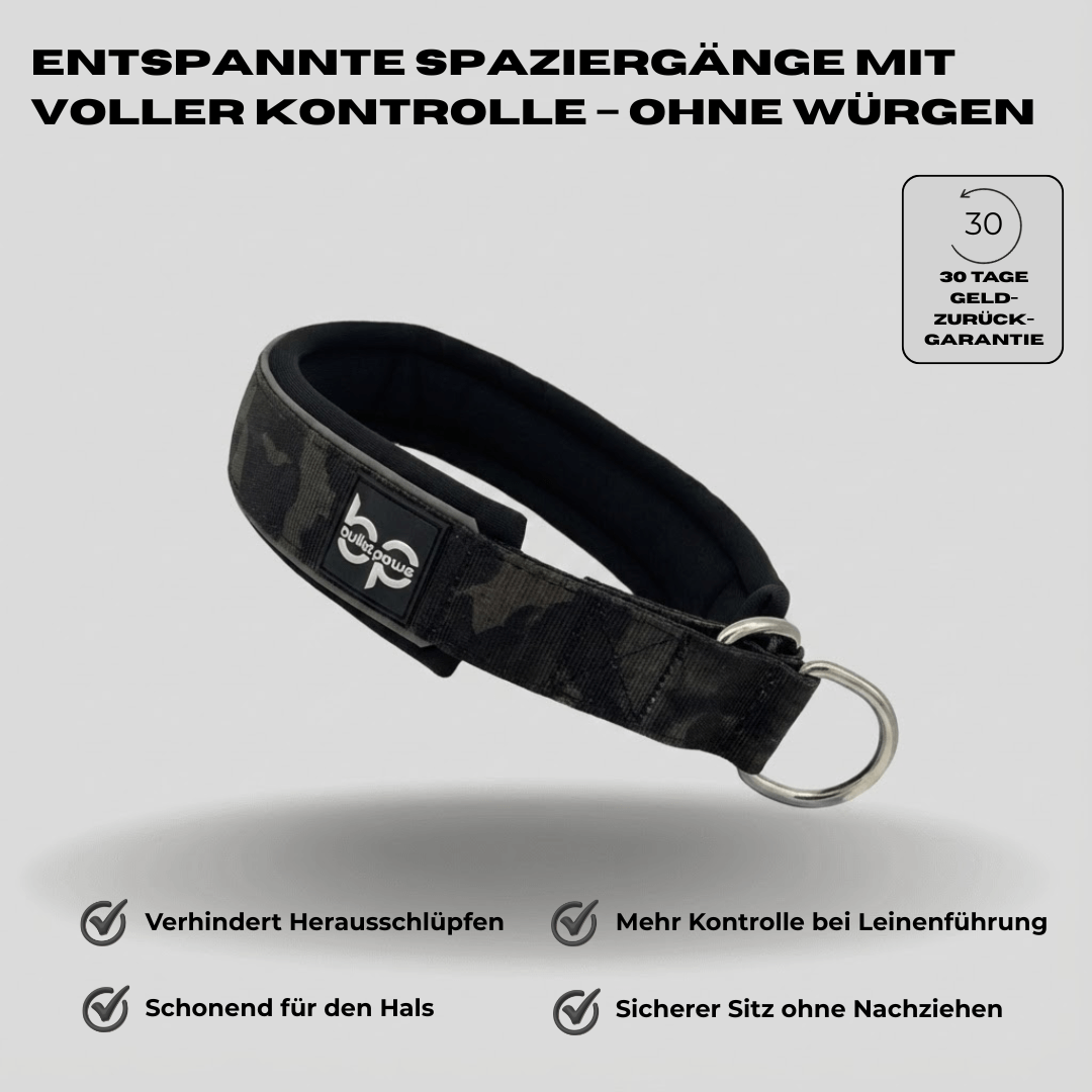 Alpha Control Zugstopp Hundehalsband - BulletPaws