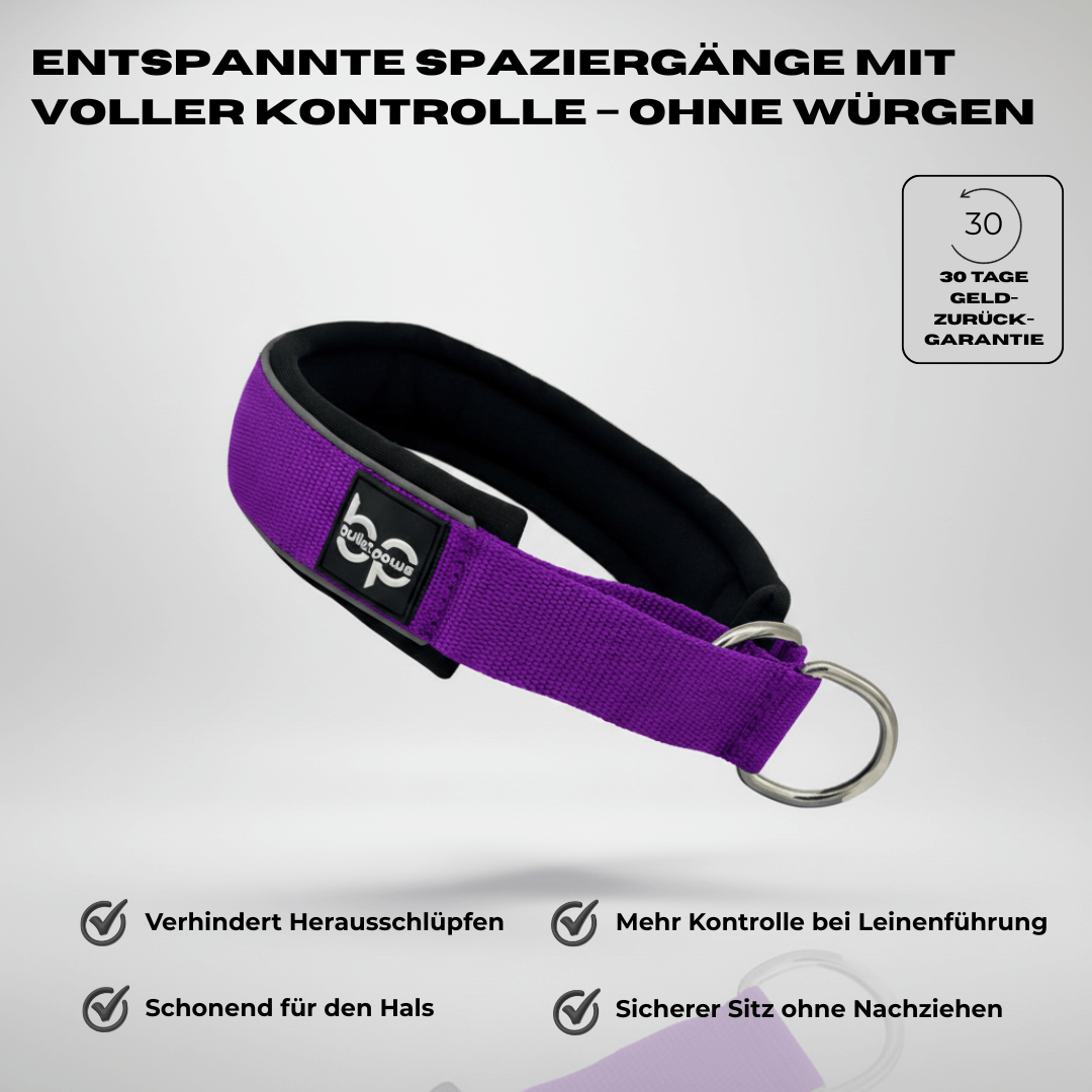Alpha Control Zugstopp Hundehalsband - BulletPaws