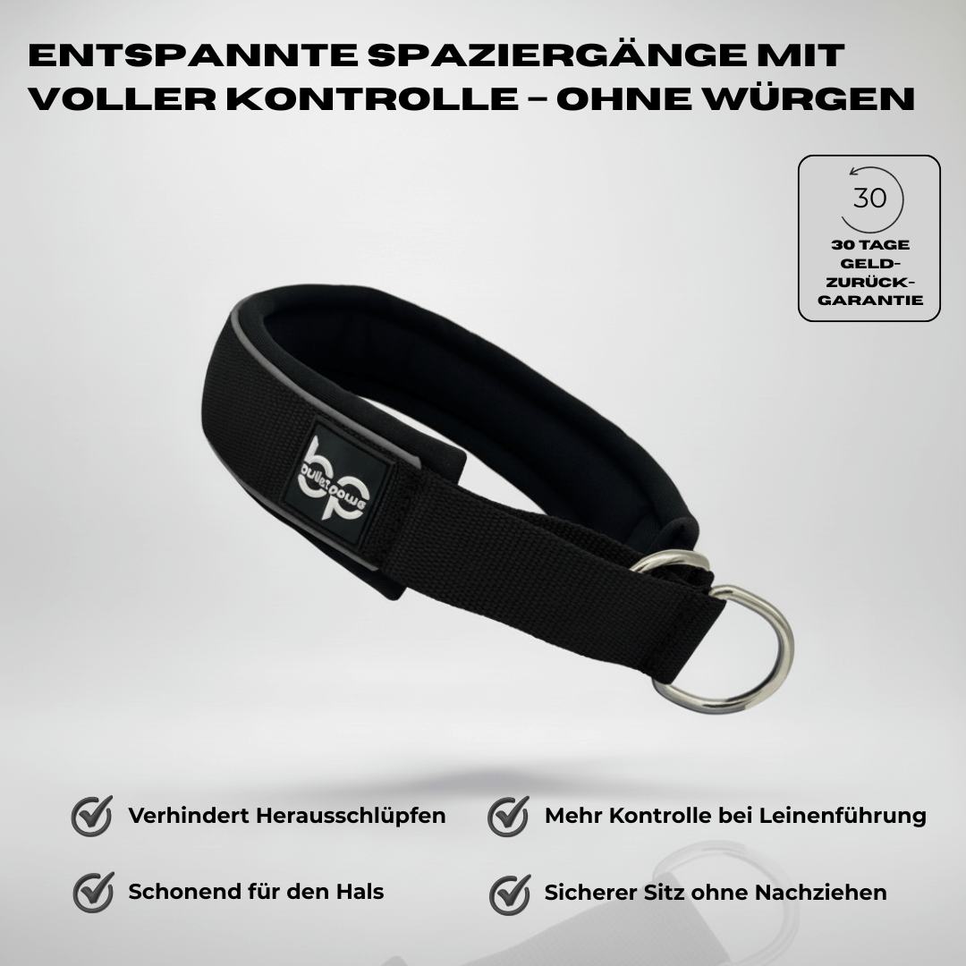 Alpha Control Zugstopp Hundehalsband - BulletPaws