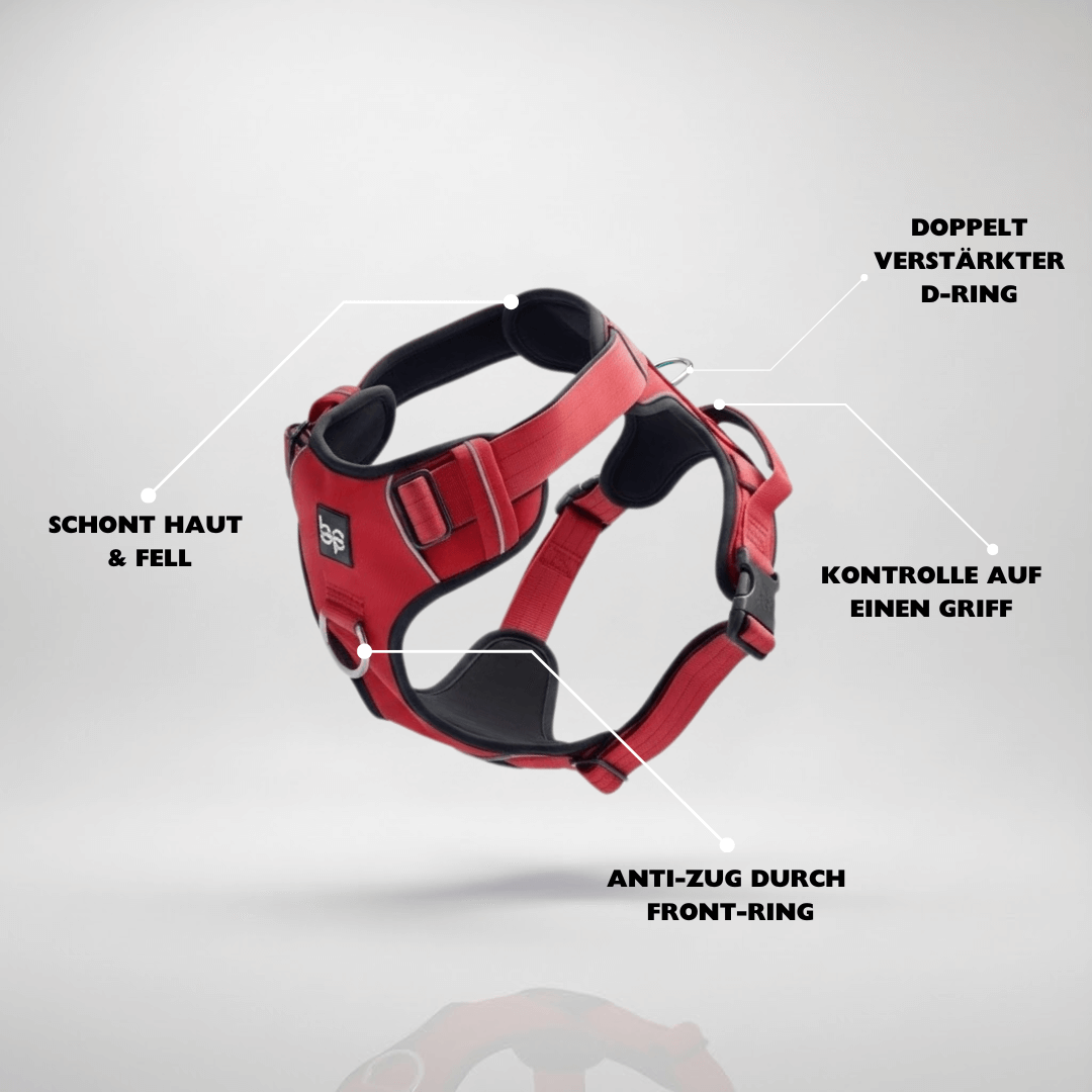 Alpha Control Hundegeschirr mit Griff - Rot - BulletPaws