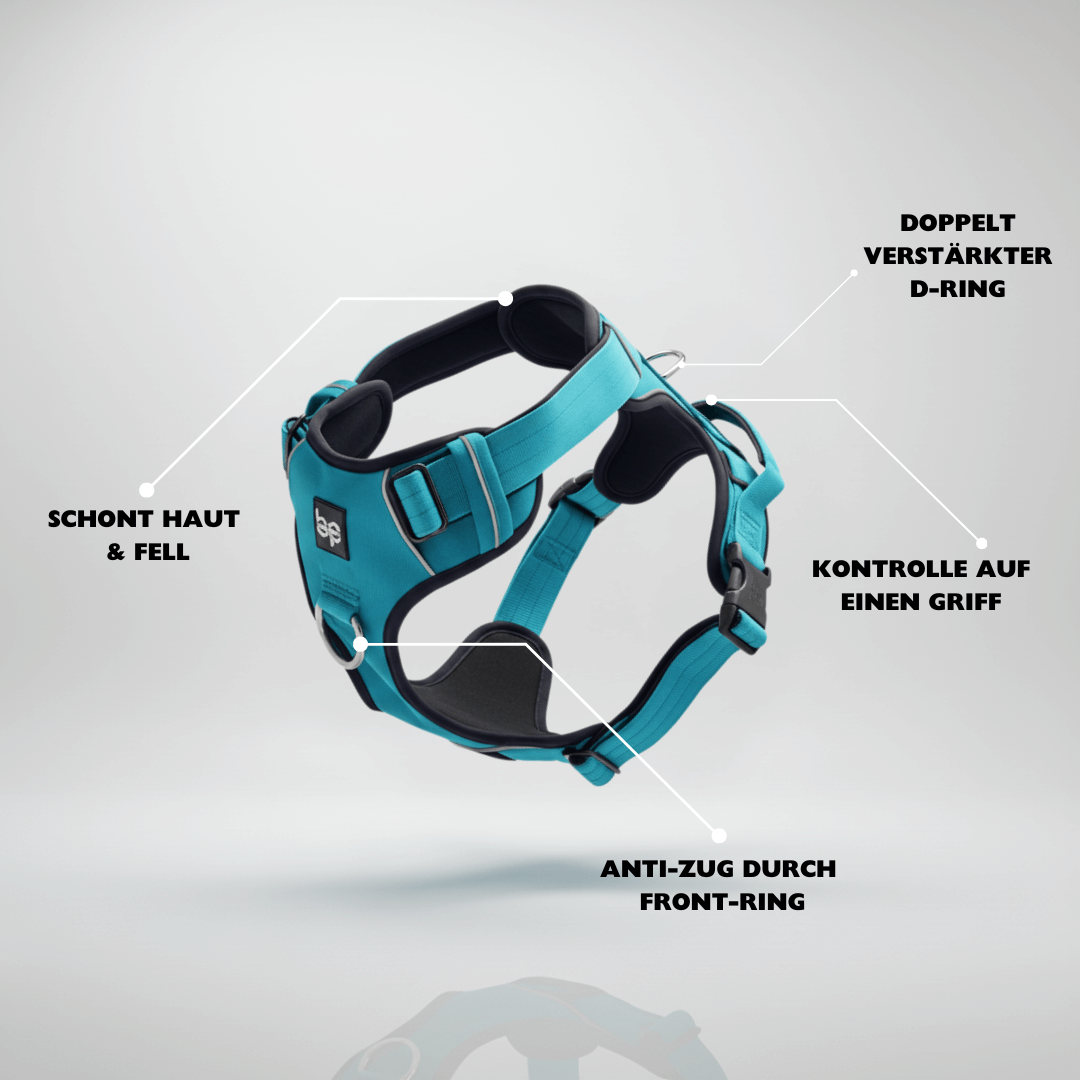 Alpha Control Hundegeschirr mit Griff - Babylau - BulletPaws