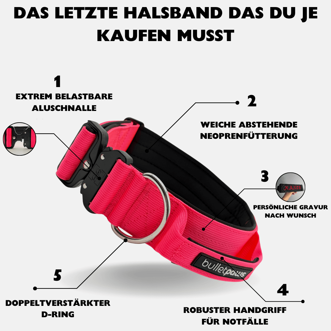 5cm Alpha Hundehalsband mit Griff - Pink - BulletPaws