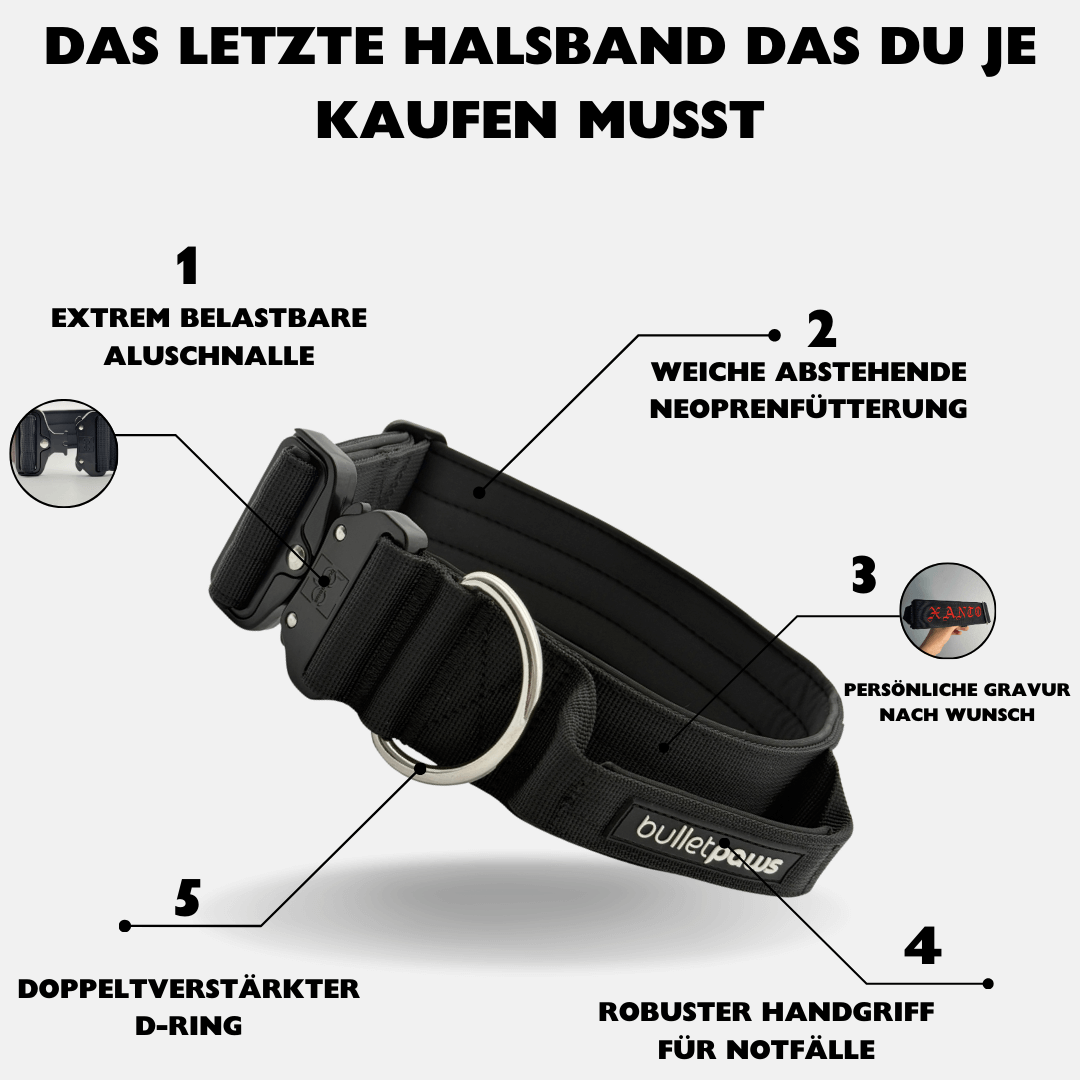 5cm Alpha Hundehalsband mit Griff - Schwarz - BulletPaws