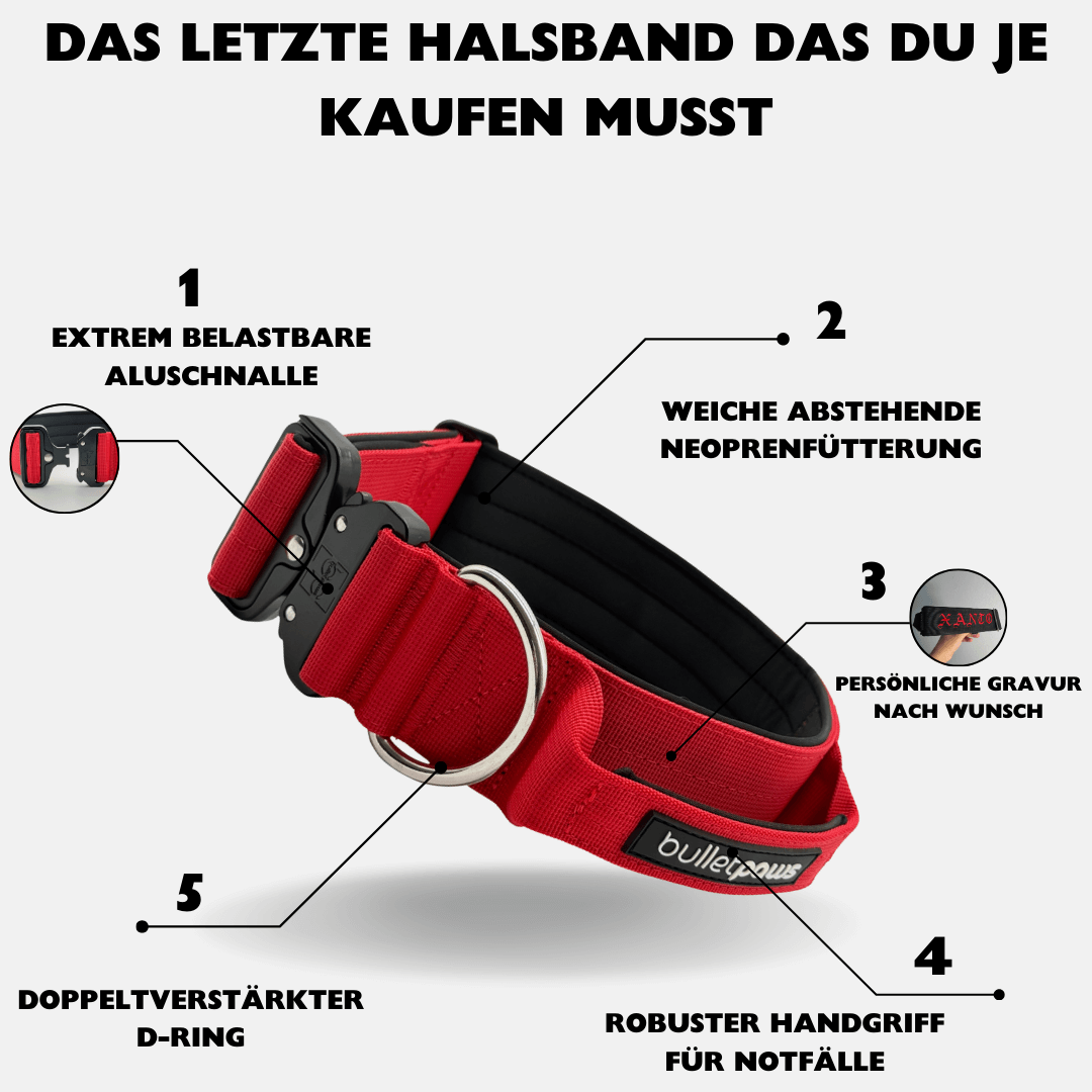 5cm Alpha Hundehalsband mit Griff - Rot - BulletPaws