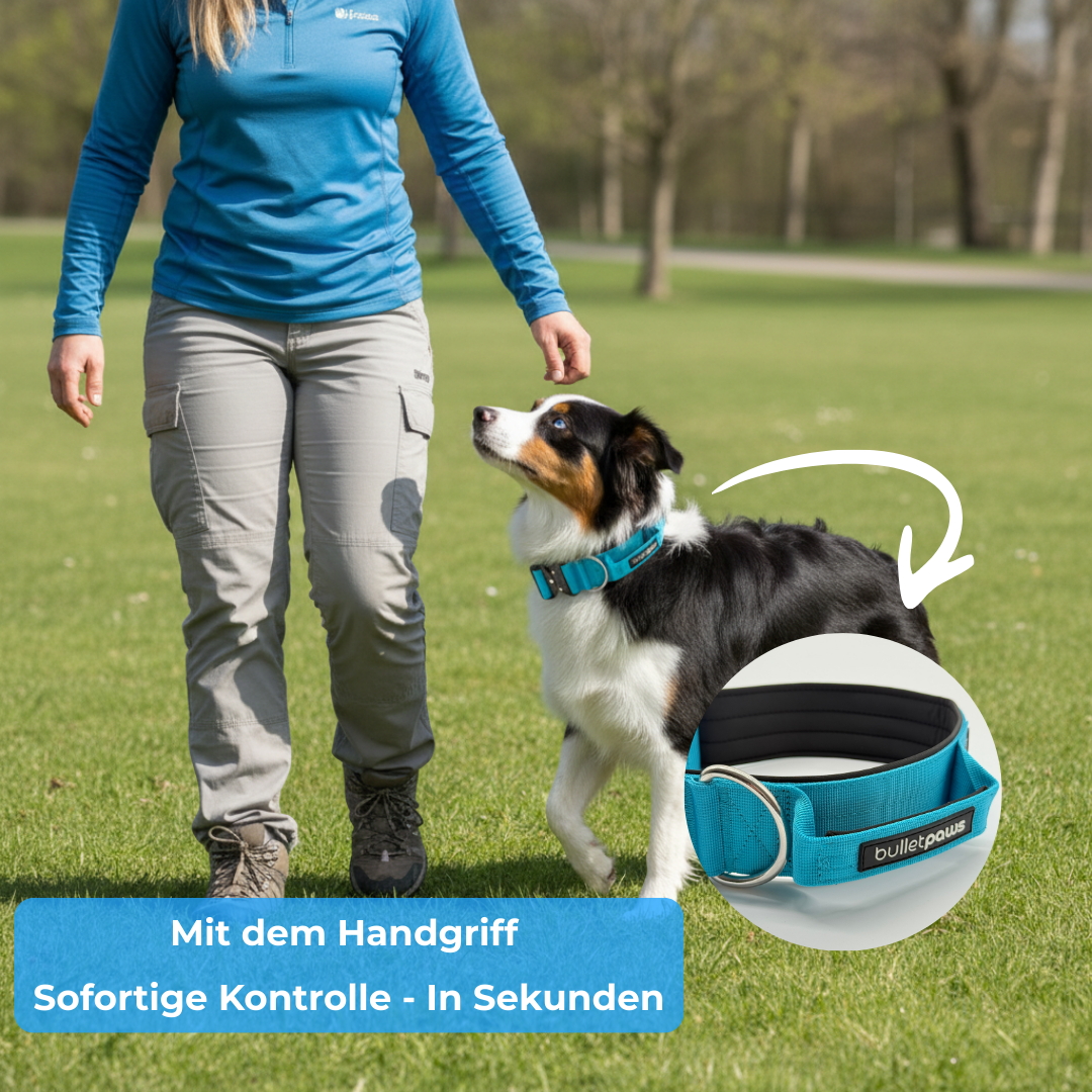 Alpha Starter Set 5cm (Halsband+Leine) - BulletPaws