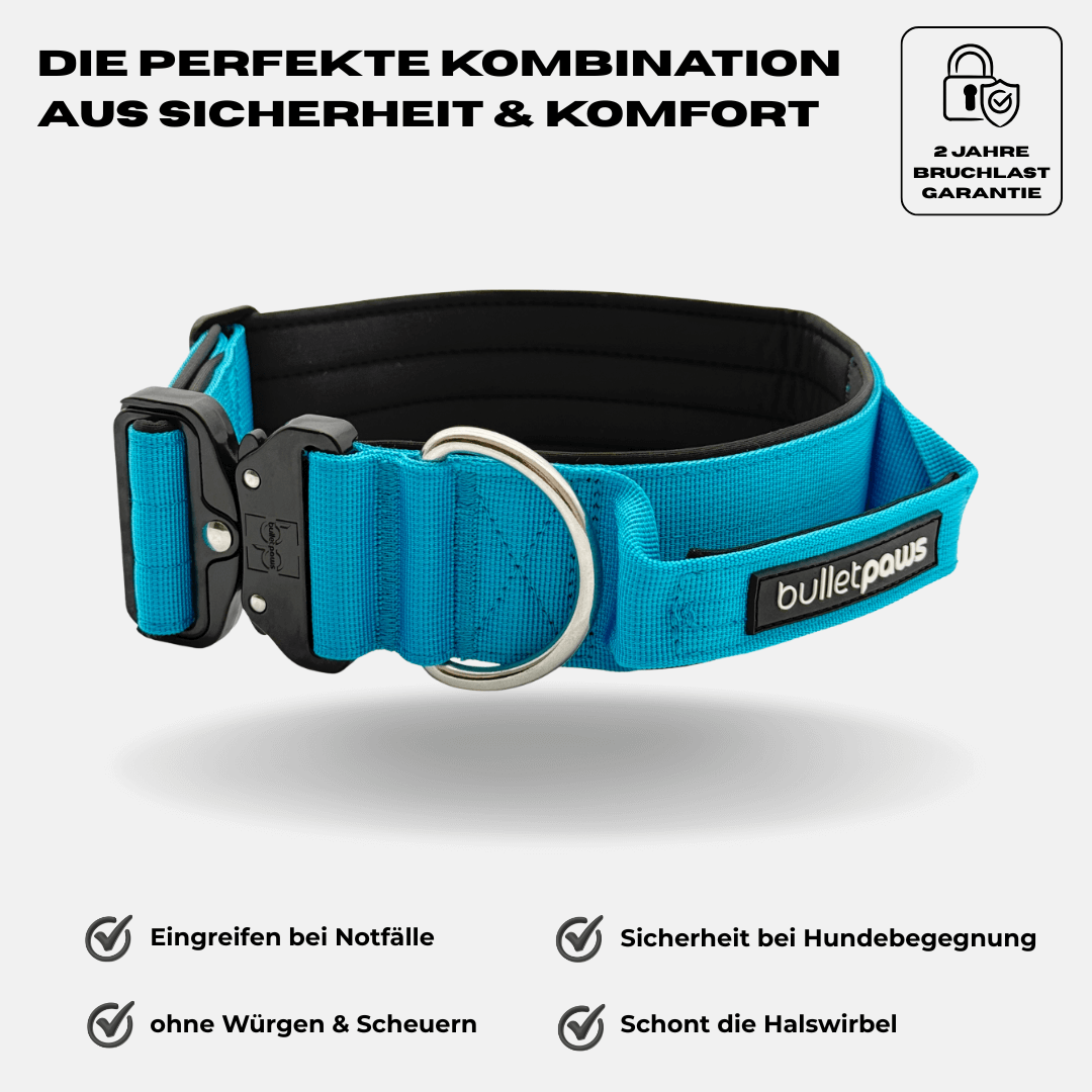 5cm Alpha Hundehalsband mit Griff - Babyblau - BulletPaws