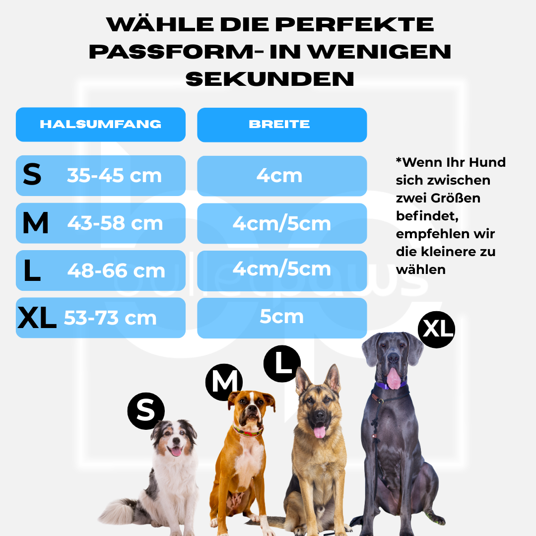 4cm Alpha Hundehalsband mit Griff - Schwarz - BulletPaws
