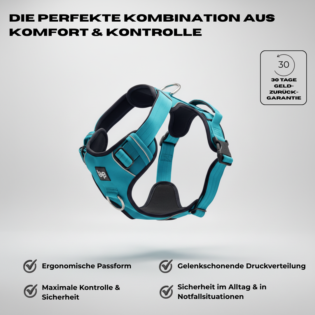 Alpha Control Hundegeschirr mit Griff - BulletPaws