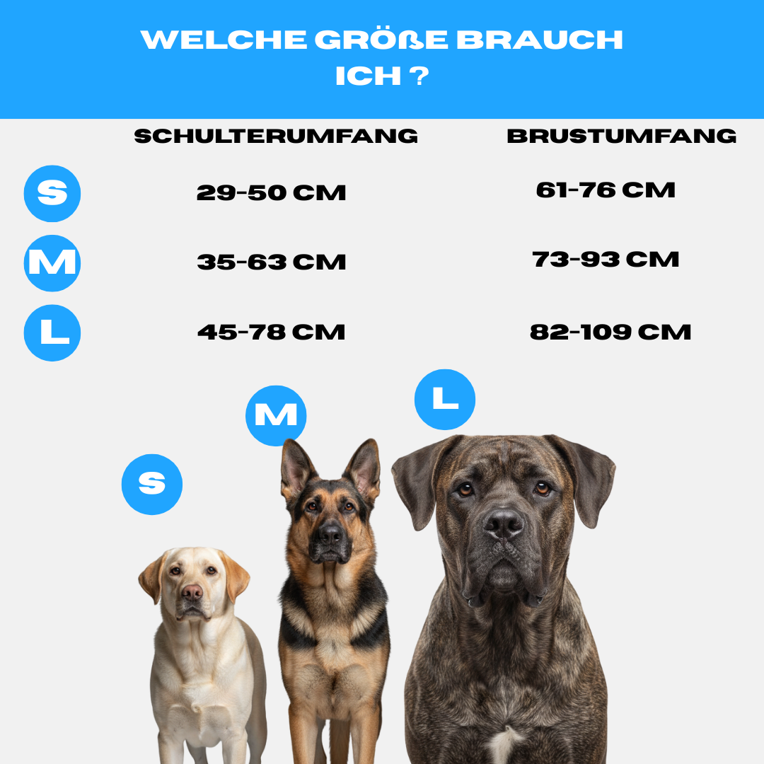 Alpha Control Hundegeschirr mit Griff - Orange - BulletPaws