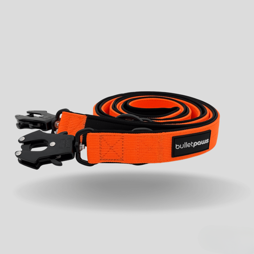 Dreifach verstellbare Hundeleine 2,2m - Orange - BulletPaws