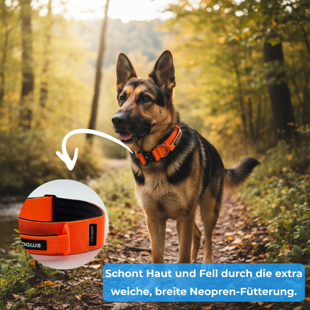 Alpha Starter Set 5cm (Halsband+Leine) - BulletPaws